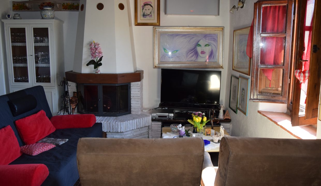 DSC_4379 (1)