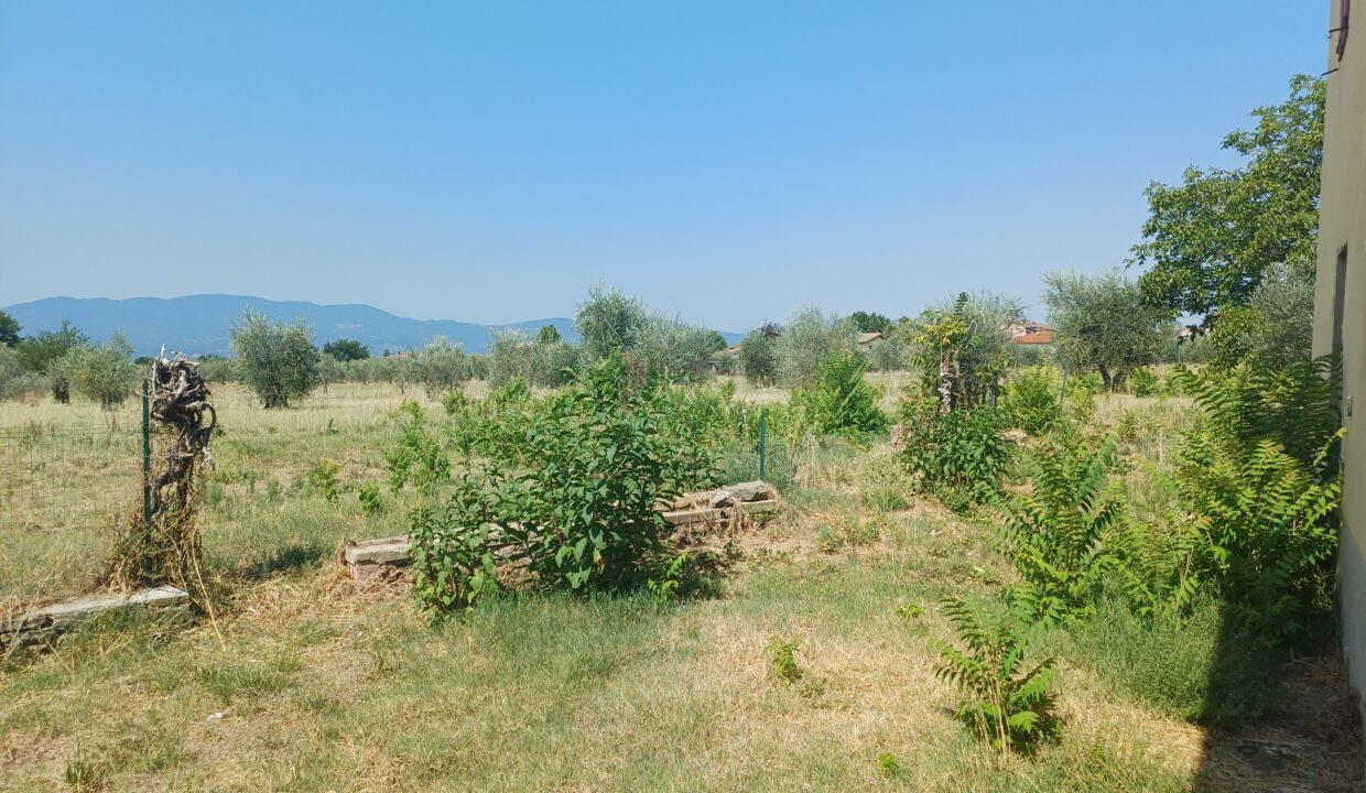 20260803_111045 (1)